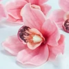Kép 4/6 - Orchidea fej 4db/csom rózsaszín