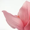 Kép 2/6 - Orchidea fej 4db/csom rózsaszín