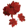 Kép 1/4 - Őszi falevelek Bordó 48db/csomag
