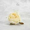 Kép 2/3 - Rózsafej - krém