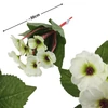 Kép 2/3 - Primula 30cm krém - KIFUTÓ
