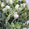 Kép 3/4 - Hipericum csokor fehér 2db/csomag