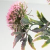 Kép 6/7 - Sedum csokor rózsaszín 2db/csomag