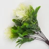Kép 3/3 - Mini protea csokor fehér