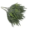 Thuja csokor többféle színben