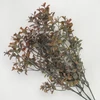 Kép 1/3 - Buxus csokor barna