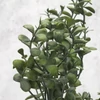 Kép 3/3 - Buxus csokor sötétzöld