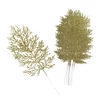 Kép 1/2 - Arany csillámos thuja ág 10db/csomag