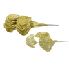 Gingko levél csillámos arany 10db/csomag