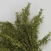 Csillámos asparagus csokor zöld