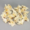 Kép 2/3 - Orchidea fej 20db/csom ekrü