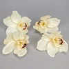 Kép 1/2 - Orchidea fej 4db/csom ekrü