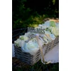 Natúr fa - 