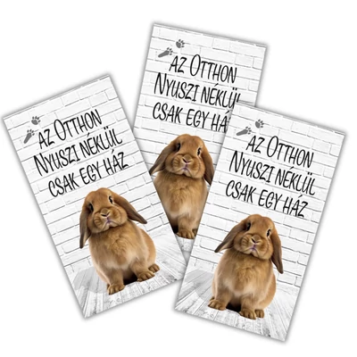 Nyomtatott dekorkarton Az otthon nyuszi nélkül