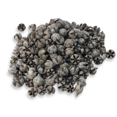Tulipán termés 500gr/csom | kosárbolt.hu