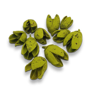 Bakuli termés oliva 10db/csomag