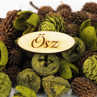 Természetjáró gyűjtemény oliva