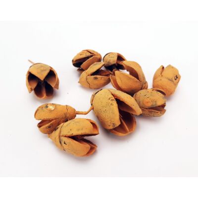 Bakuli termés mandarin 10db/csomag