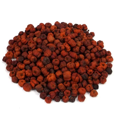 OKOS ÁRAS tökbogyó narancs 100 gramm/csom (kb. 360 db)