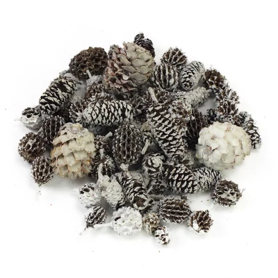 Terméscsomag winter