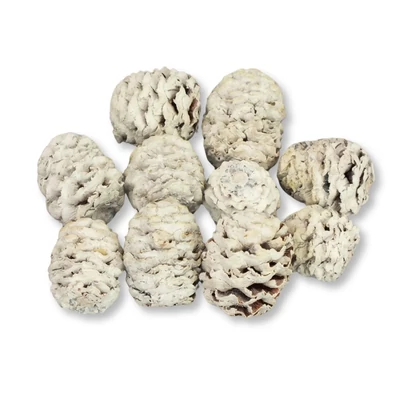 Toboz hamvas 10db/csomag