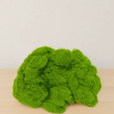 Tartós élethű moha friss mohazöld árnyalat