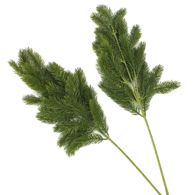 Dekorációs fenyőág 2db/cs