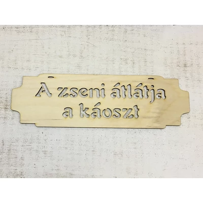 "A zseni átlátja a káoszt" tábla