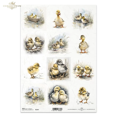Rizspapír A4 decoupage-hoz kiscsibe kiskacsa