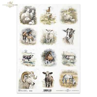 Rizspapír A4 decoupage-hoz farmállatok ló kecske bárány