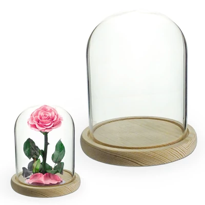 Üvegbúra fa talppal 12*15cm 