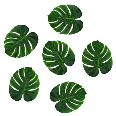 Szár nélküli óriás filodendron levél 12db/csomag
