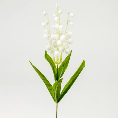 Szálas gyöngyvirág