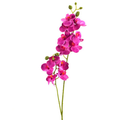 2 ágú orchidea ciklámen-Kosárbolt.hu
