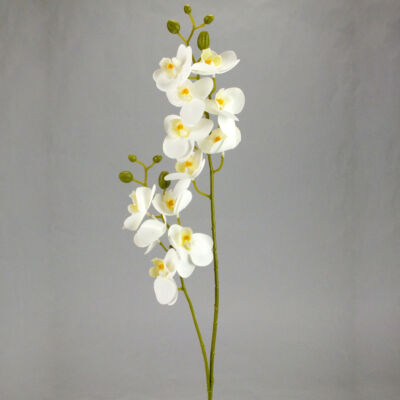 2 ágú orchidea fehér-Kosárbolt.hu