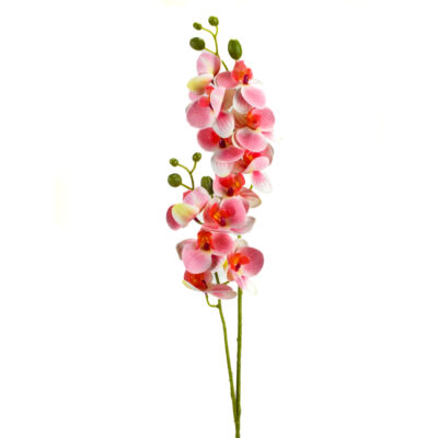 2 ágú orchidea rózsaszín-fehér-Kosárbolt.hu
