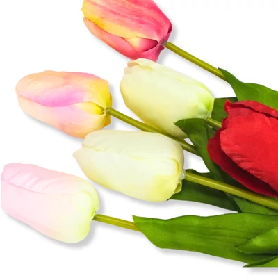 Szálas tulipán Többféle színben - Kosárbolt.hu