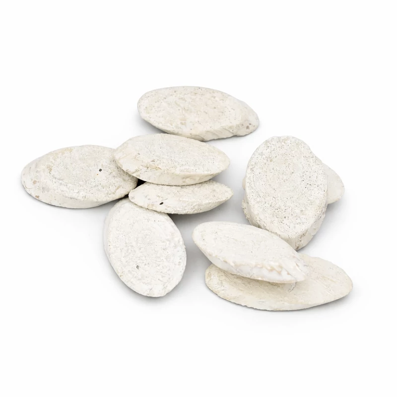Fehér ovális faszeletek 5-6cm 0,5kg/csomag