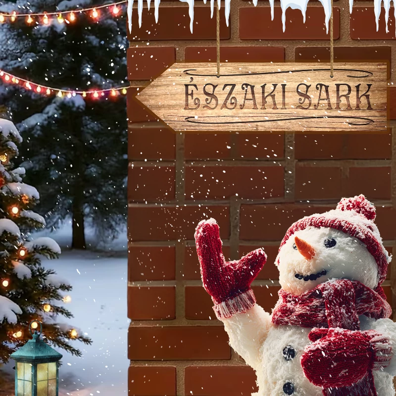 Nyomtatott fa nyíl - Északi sark barna 30cm