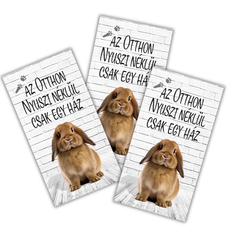 Nyomtatott dekorkarton Az otthon nyuszi nélkül