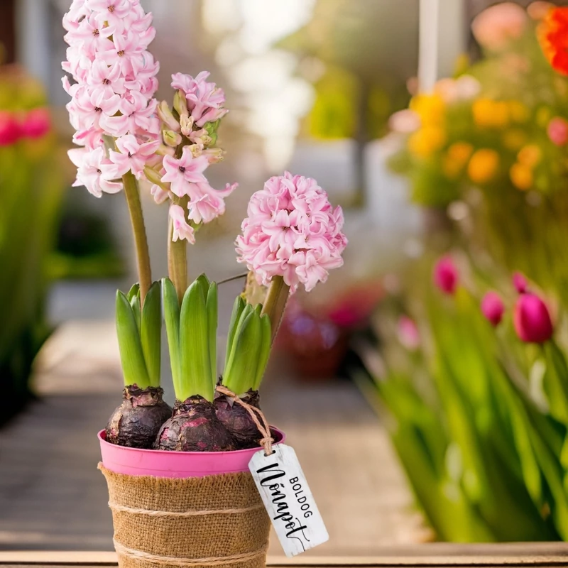 Nyomtatott dekorkarton - Boldog nőnapot scrapbook táblák 5db/cs fehér