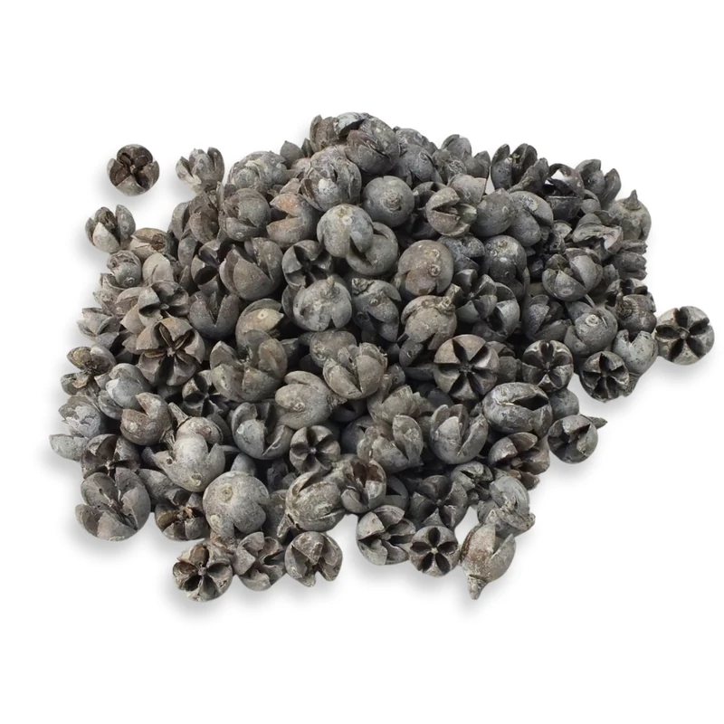 Tulipán termés 500gr - OKOSÁR!