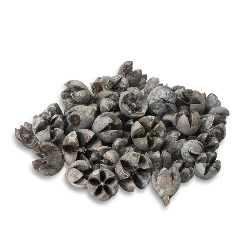 Tulipán termés 500gr - OKOSÁR!