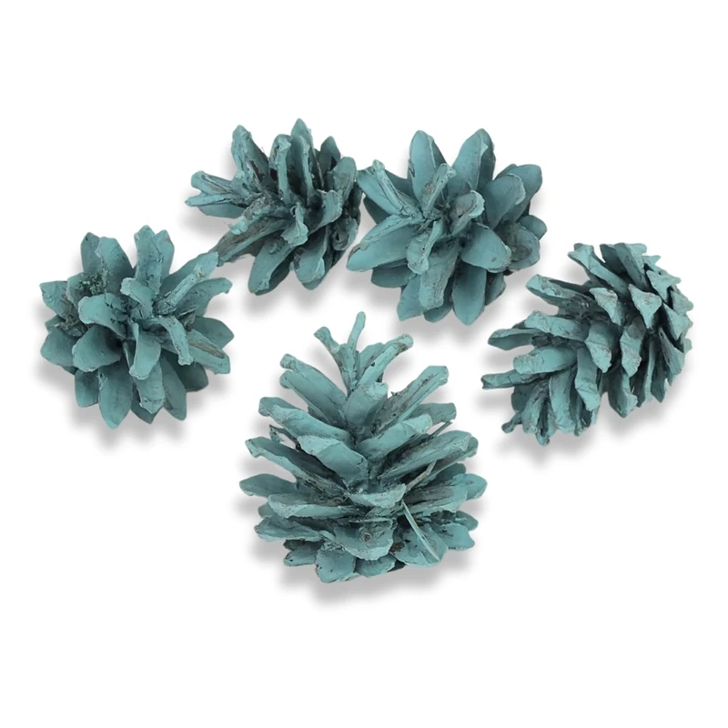 Rózsatoboz aqua 5db/csom