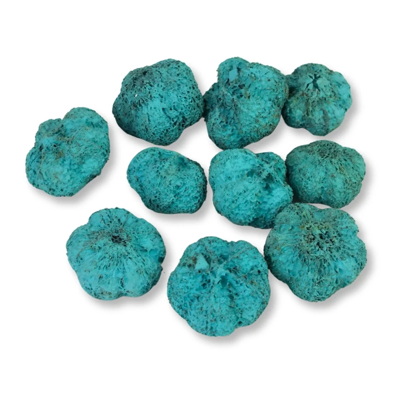 Termés fokhagyma aqua zöld 10db/cs