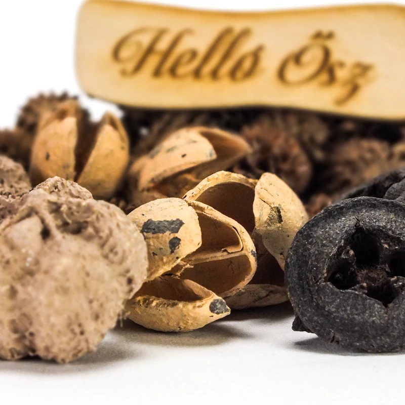 Természetjáró gyűjtemény cappuccino