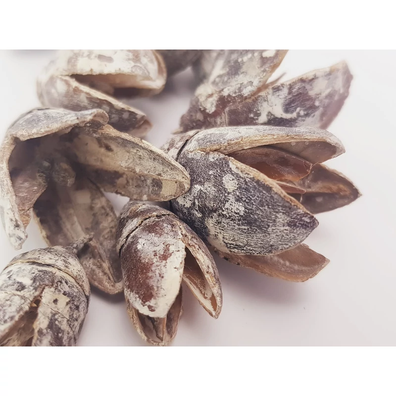 Bakuli termés hamvas 10db/csomag