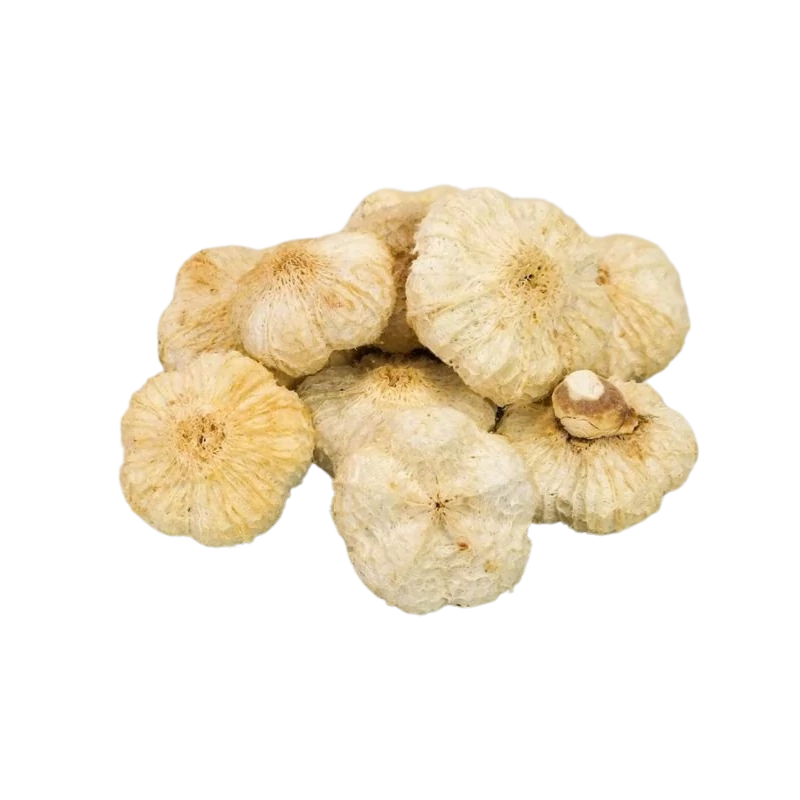 Fokhagyma alakú termés nagy 10db/csomag