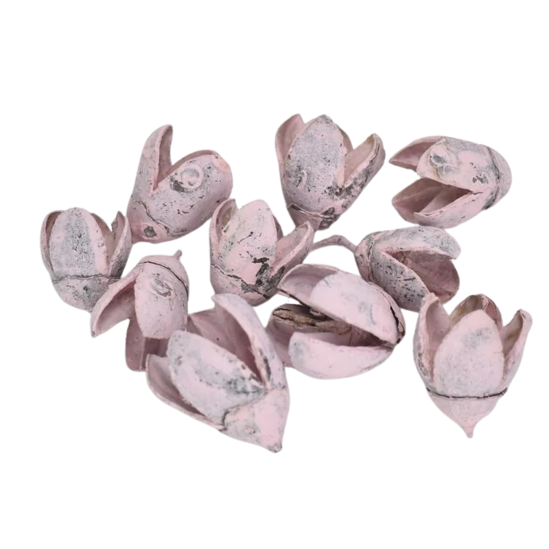 Terméscsomag bakuli rózsaszín 10db/csomag