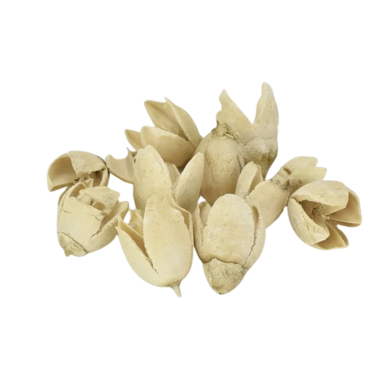 Bakuli fehérített termés 10db/csomag